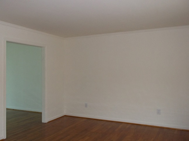 Gallery Photo 9